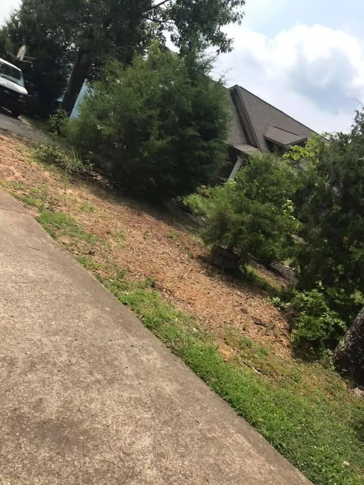 Professional lawn care service experts serving New Hope, AL - C&H Landscapes