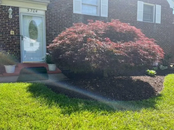Custom landscape installation in Temple Hills, MD - Ch Landscaping Services