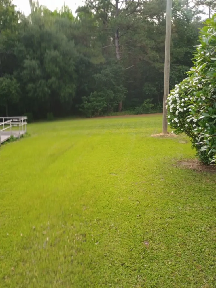 Top-rated lawn care service experts serving Walterboro, SC - C&H Lawn Care
