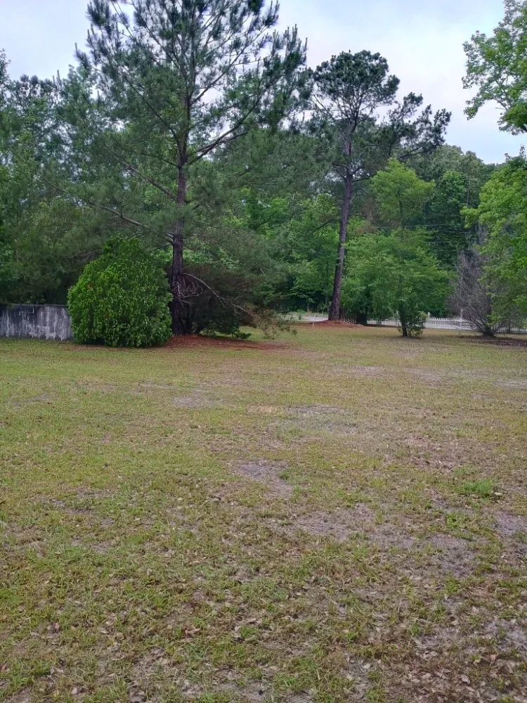 Affordable yard cleanup service for outdoor upgrades in Walterboro, SC by C&H Lawn Care