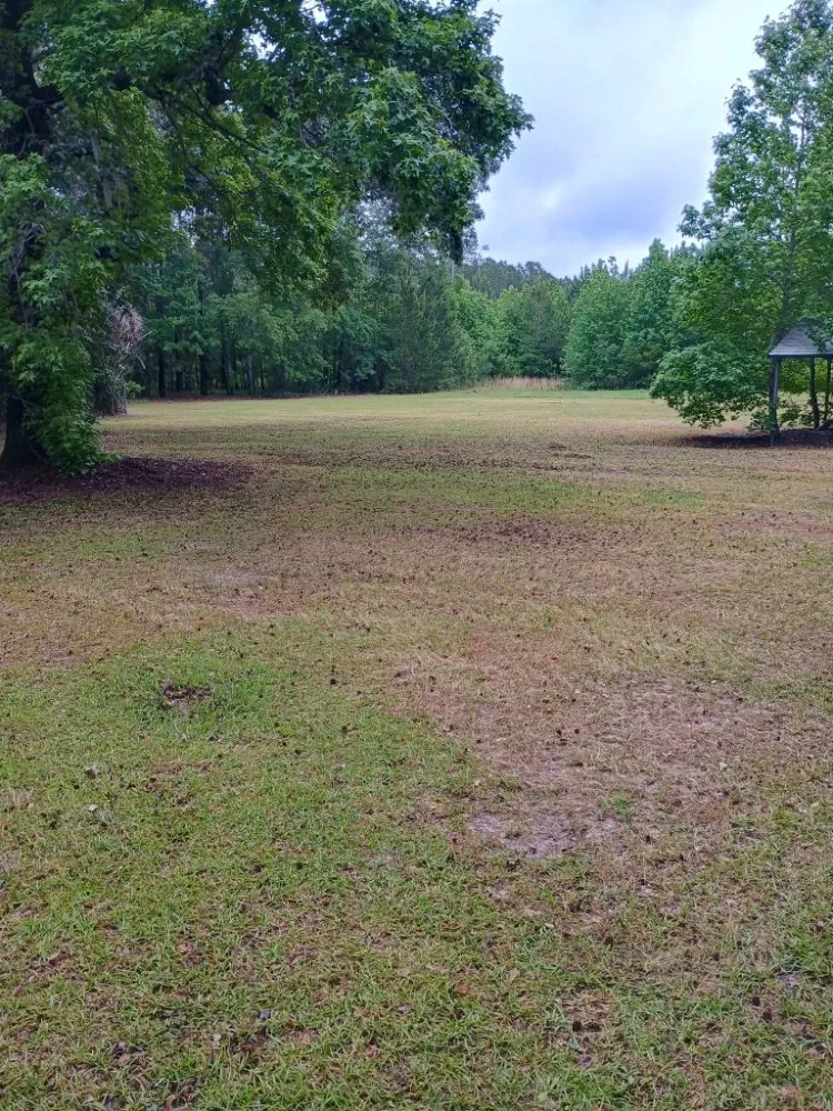 Top-rated lawn mowing service for residential properties in Walterboro, SC by C&H Lawn Care