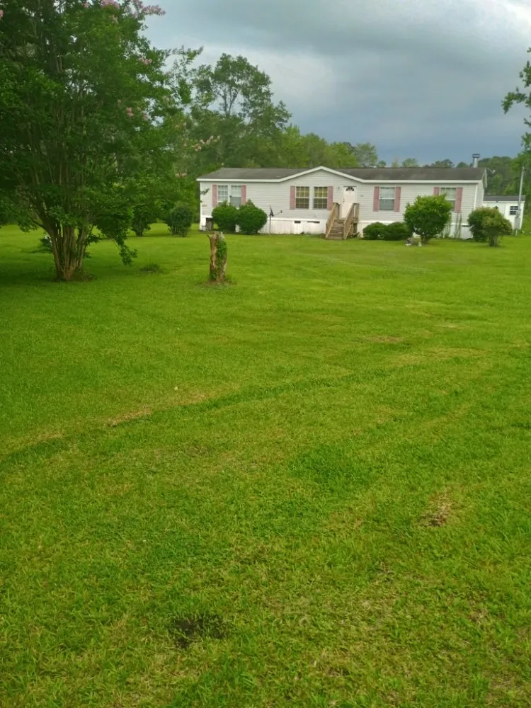 Reliable outdoor landscaping experts serving Walterboro, SC - C&H Lawn Care