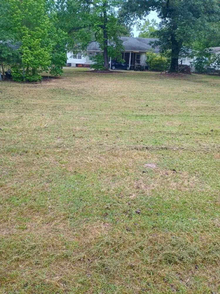 Expert outdoor landscaping in Walterboro, SC - C&H Lawn Care