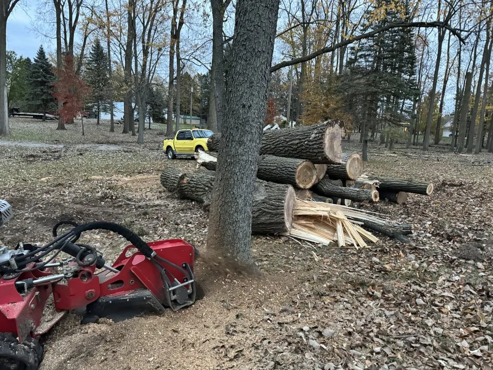 Expert yard cleanup service for year-round maintenance across Addison, MI - C&H Lawn Service