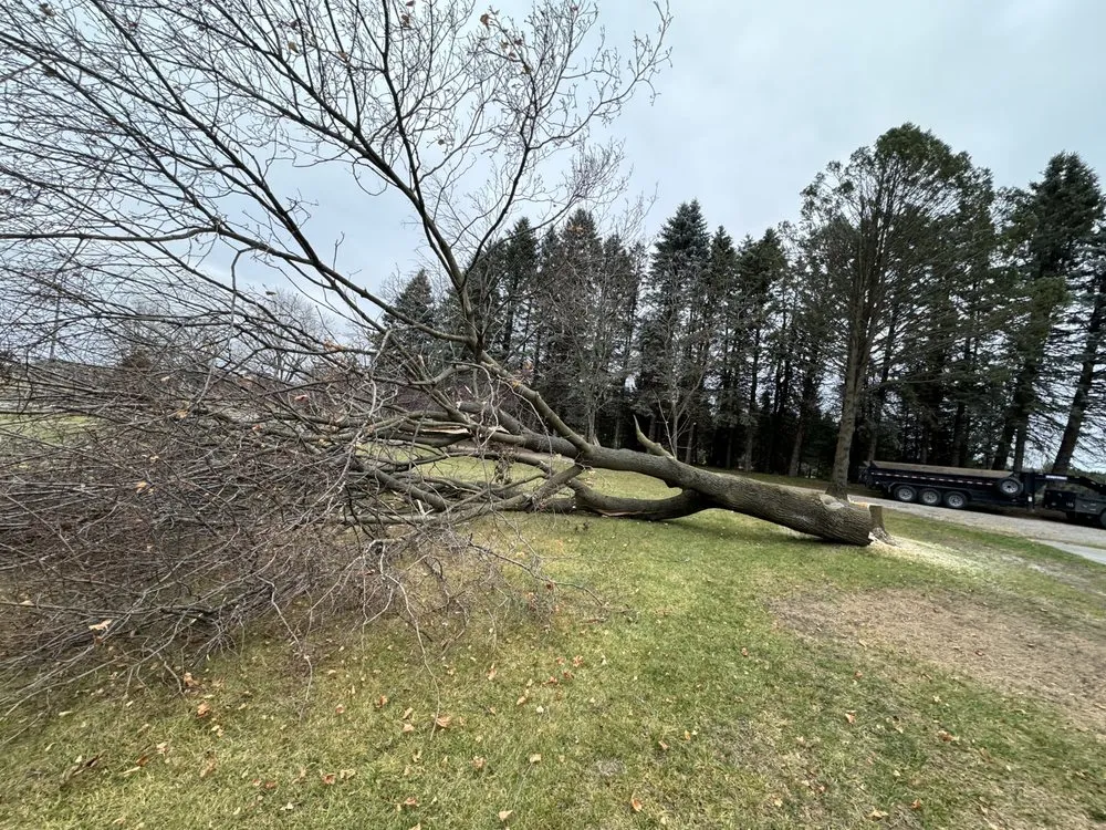 Local yard maintenance experts serving Addison, MI - C&H Lawn Service