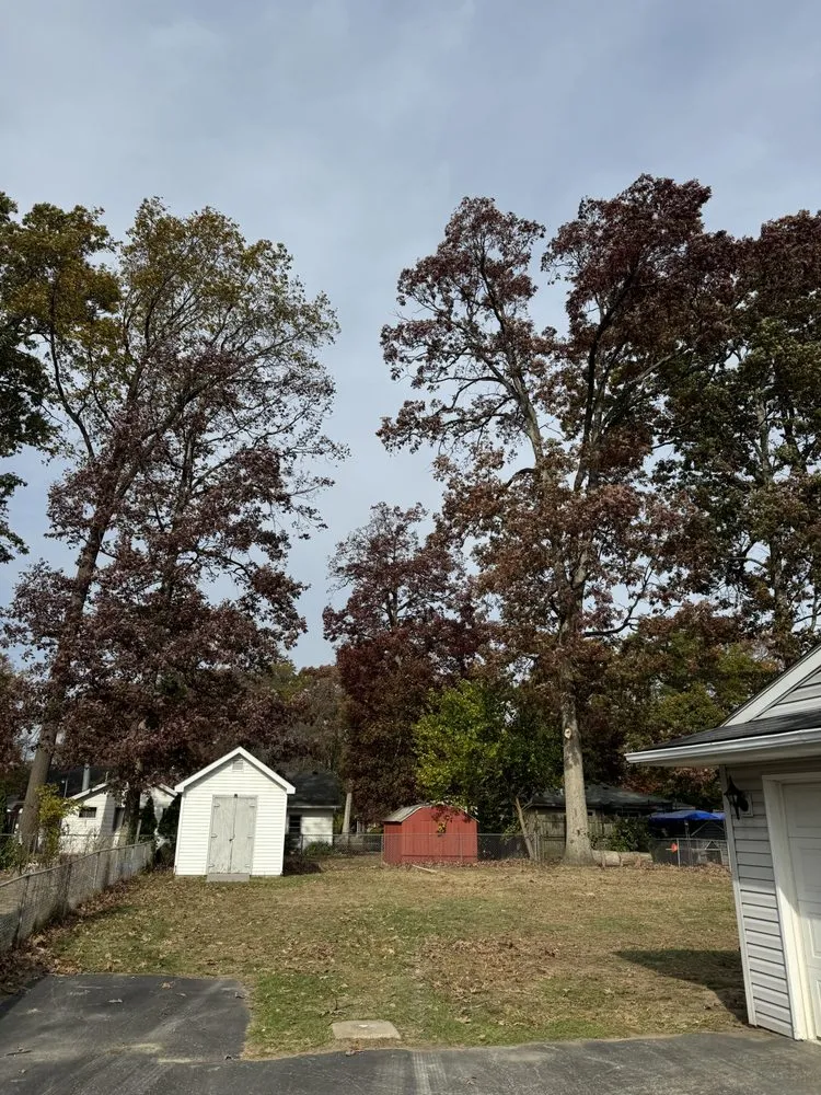 Custom yard maintenance in Addison, MI by C&H Lawn Service