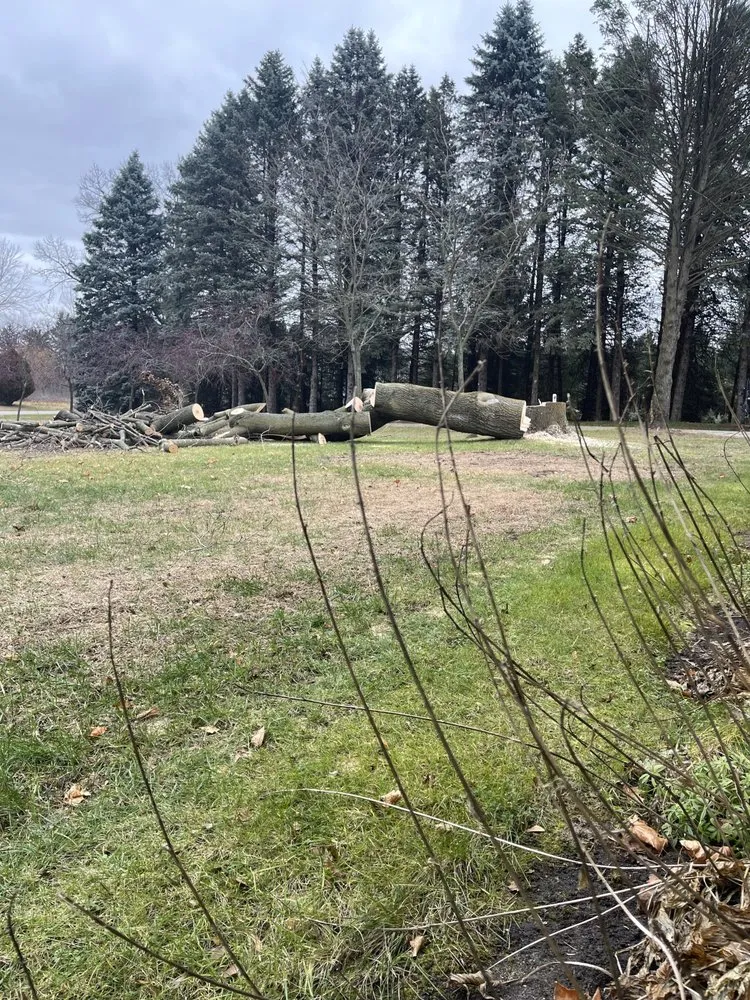 Trusted yard cleanup service experts serving Addison, MI - C&H Lawn Service