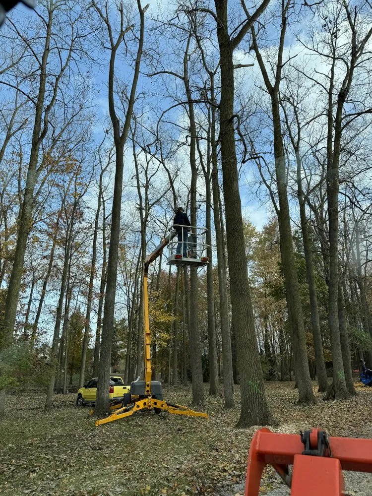 Local yard cleanup service in Addison, MI by C&H Lawn Service