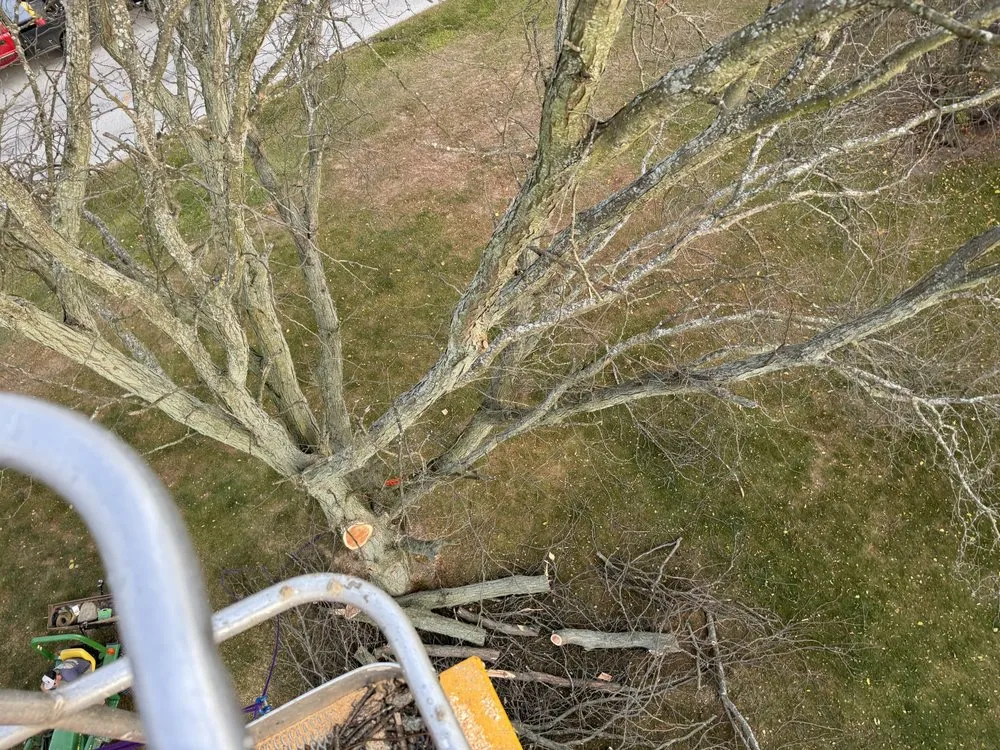 Custom landscape design with custom design across Addison, MI - C&H Lawn Service