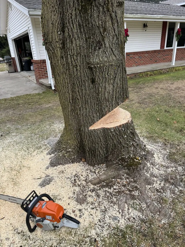 Reliable yard maintenance near you across Addison, MI - C&H Lawn Service