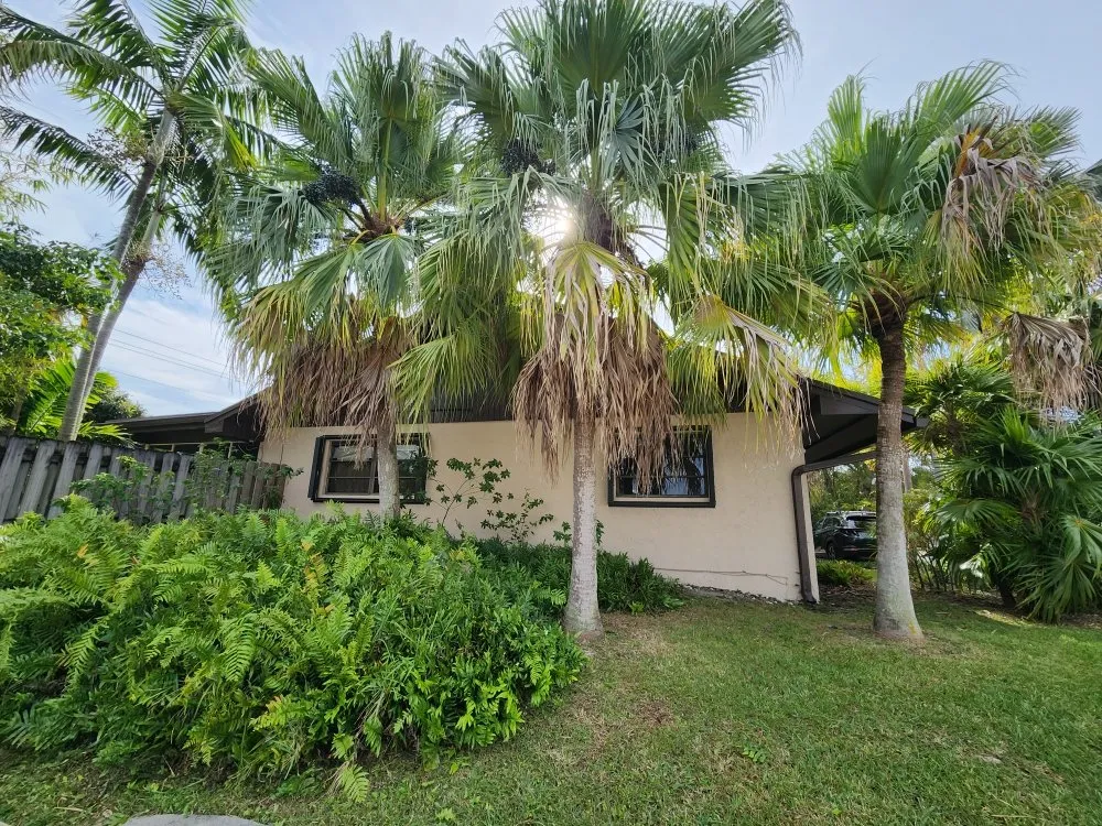 Professional yard cleanup service experts serving Miami, FL - CH Lawn Service