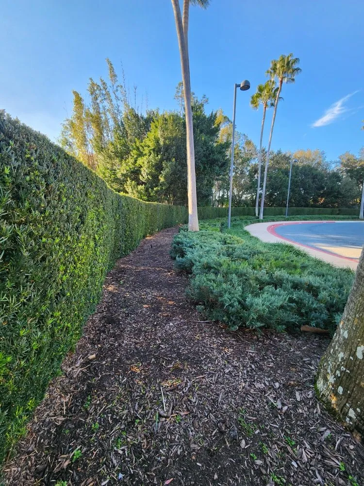 Trusted outdoor landscaping in Miami, FL by CH Lawn Service