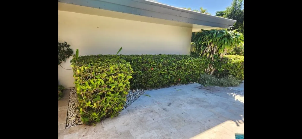 Custom lawn mowing service experts serving Miami, FL - CH Lawn Service