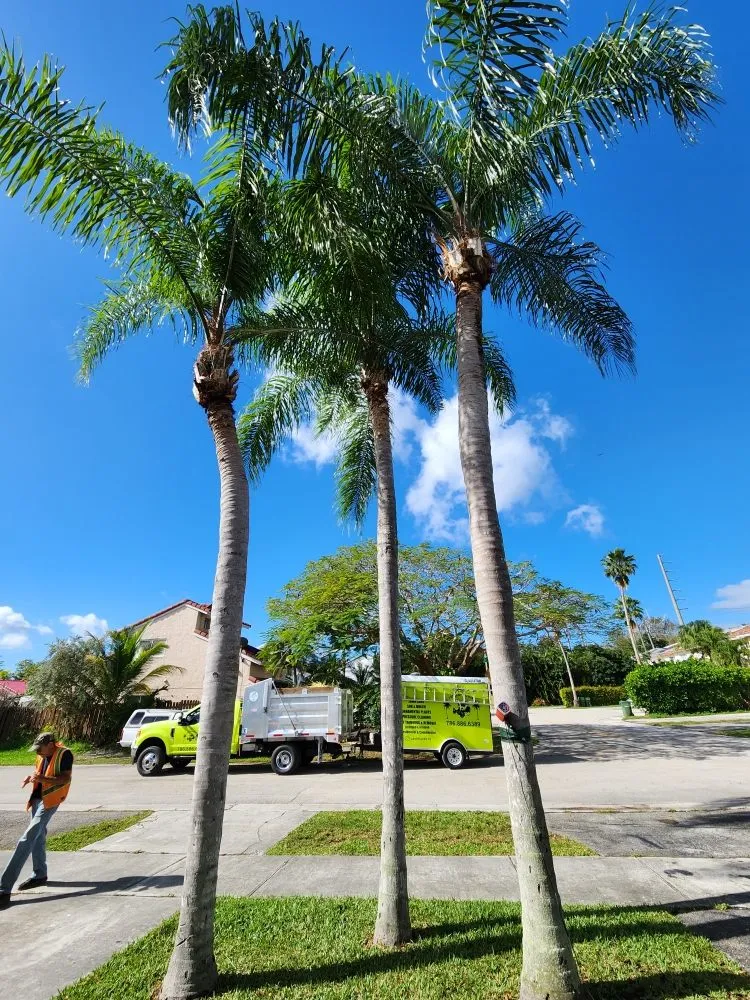 Professional yard cleanup service for residential properties in Miami, FL by CH Lawn Service
