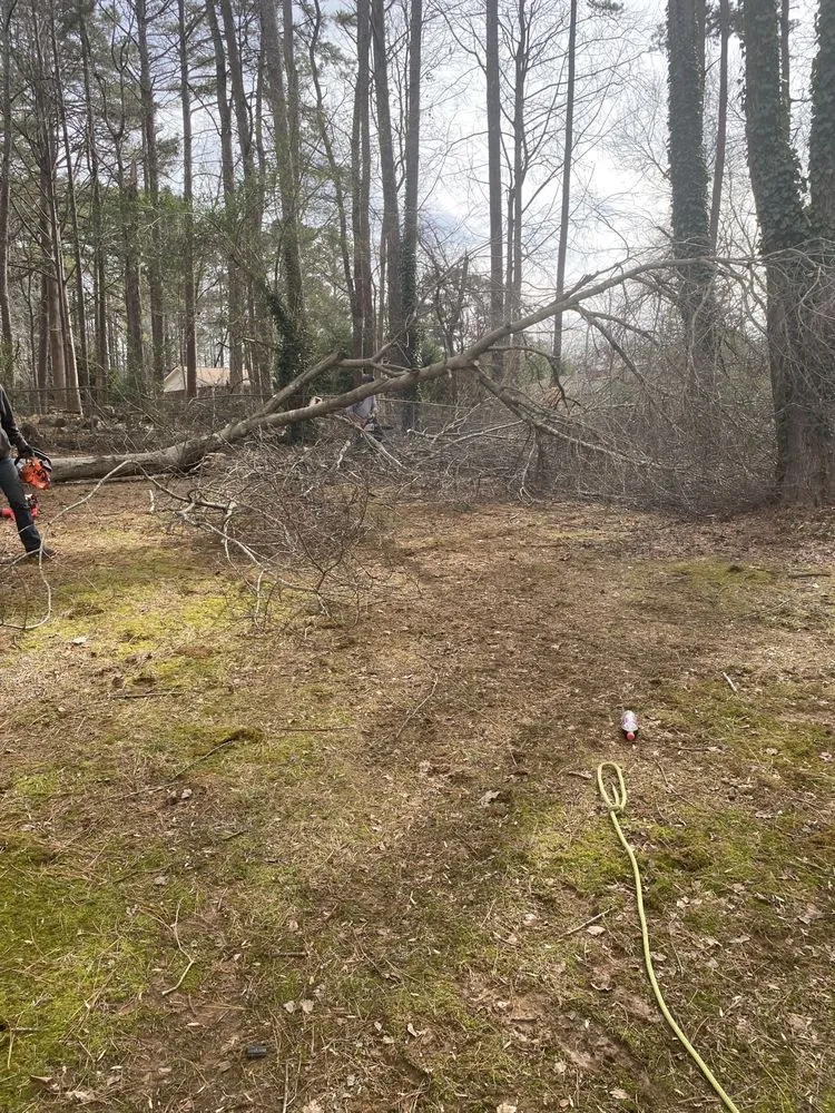 Custom landscaping services in Hiram, GA - C&H Lawncare and Landscaping