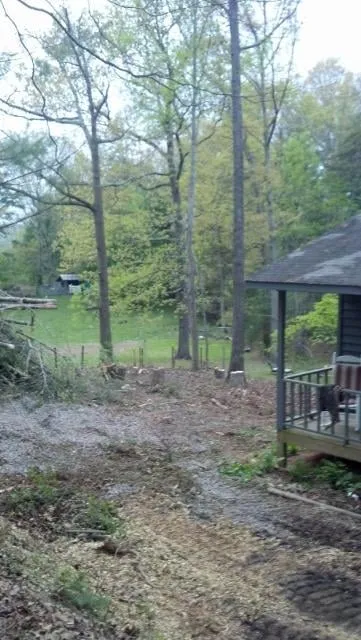 Local yard cleanup service near you in Sautee Nacoochee, GA by CH Mulch & Landscaping