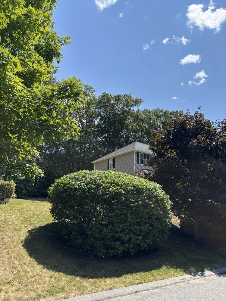 Professional landscape design for beautiful yards across Sterling, MA - Chace Hill Lawn Care