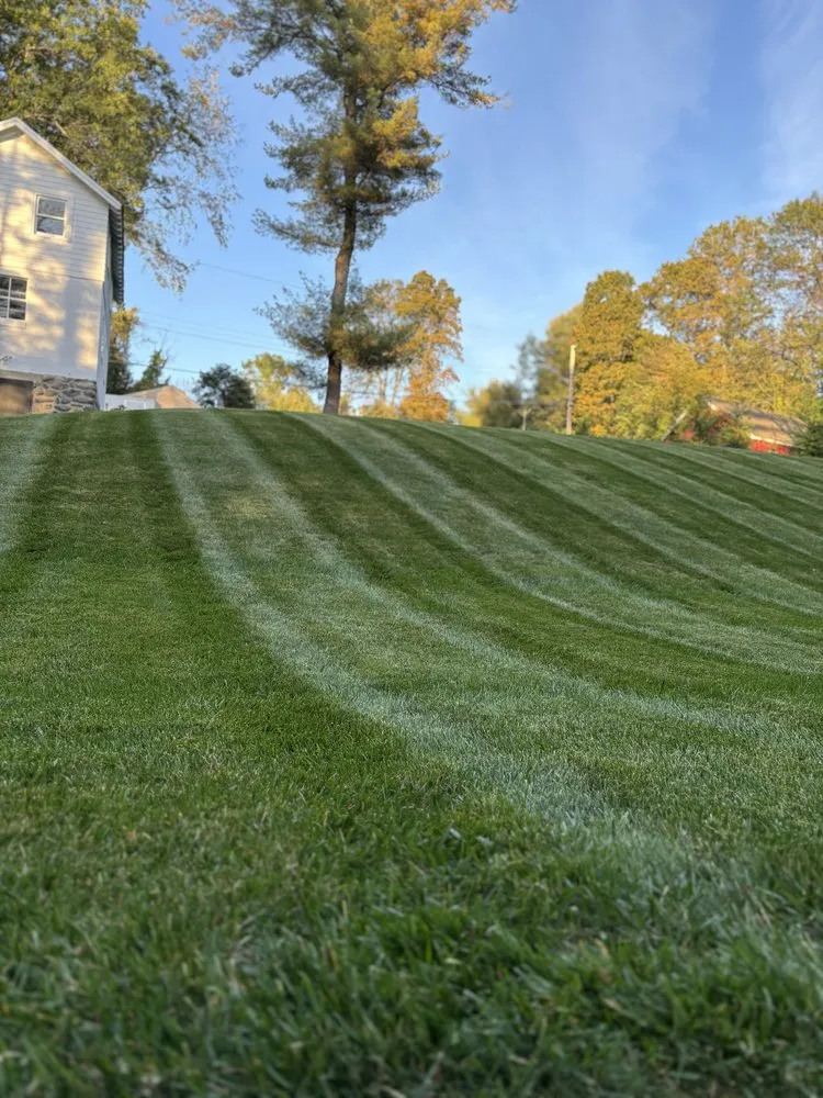 Affordable lawn care service in Sterling, MA - Chace Hill Lawn Care