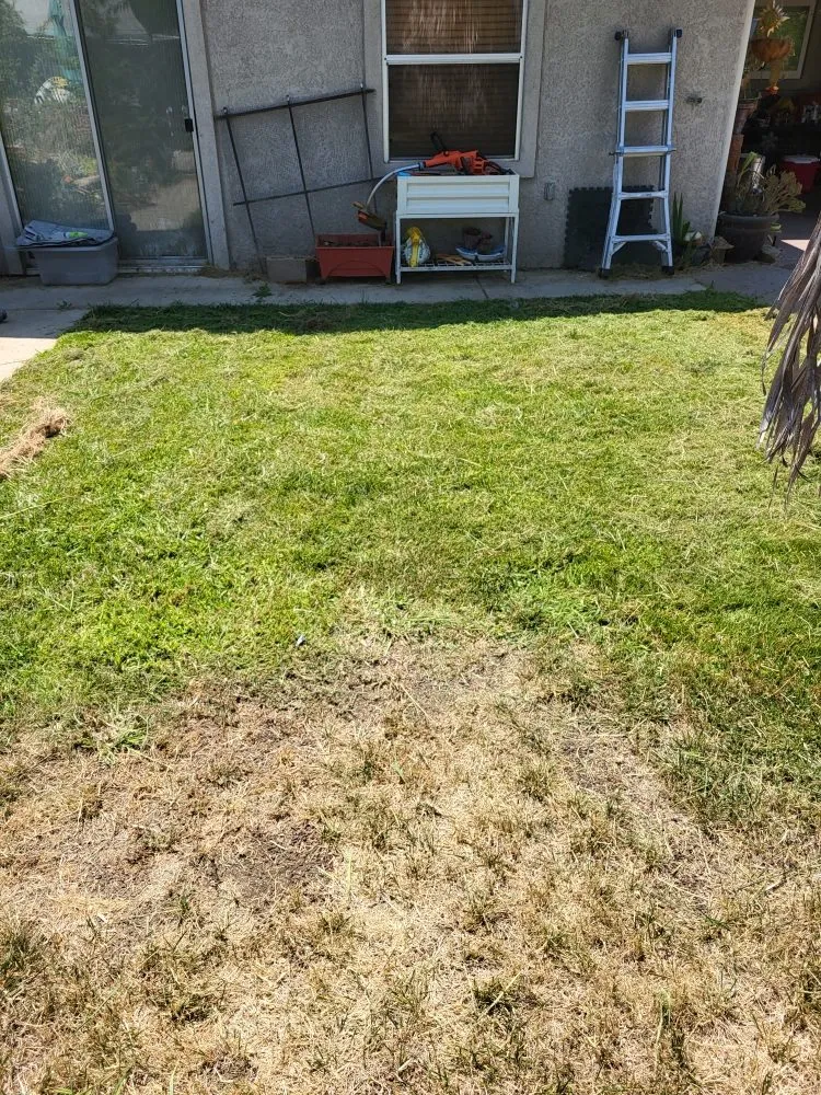 Expert yard cleanup service in Oroville, CA by Chachee's Lawn Care and Lawn Clean Up