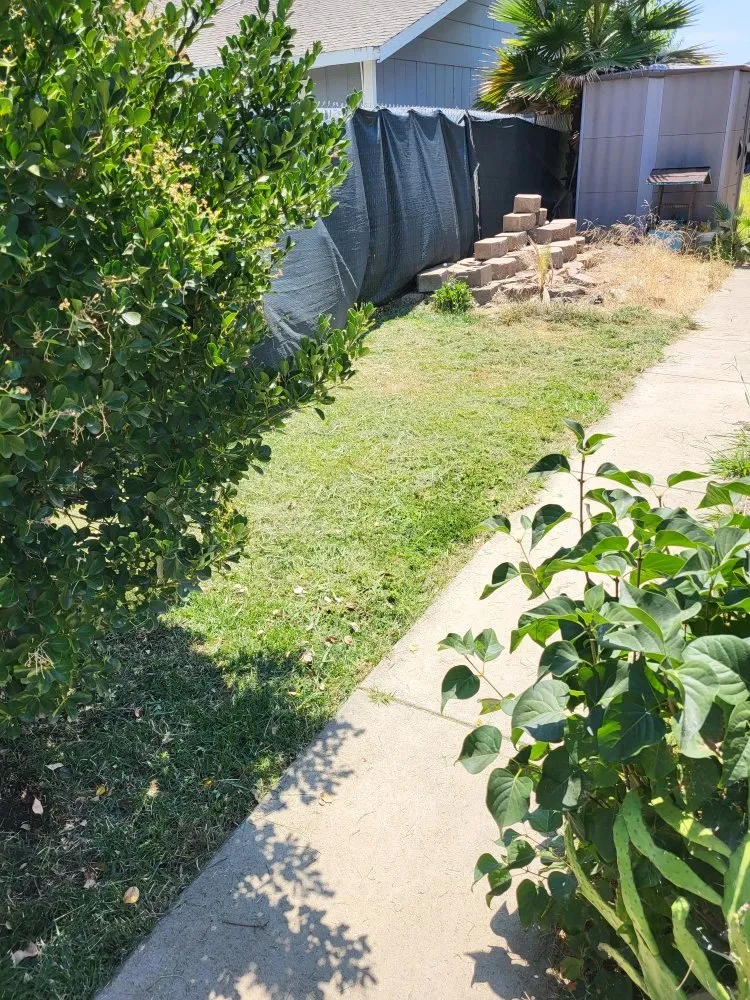 Expert lawn mowing service in Oroville, CA by Chachee's Lawn Care and Lawn Clean Up