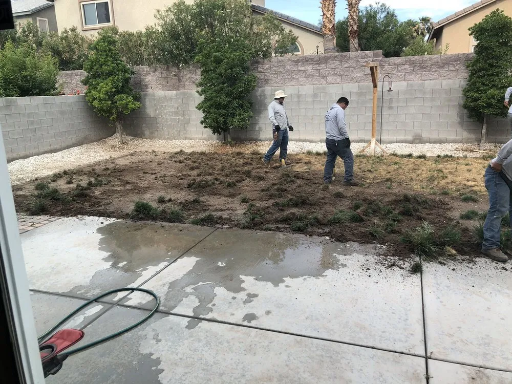Top-rated yard cleanup service for outdoor upgrades in Las Vegas, NV by Chachi Lawn & Landscape Maintenance
