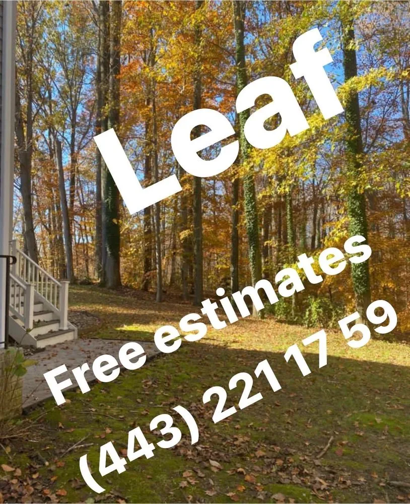 Affordable residential landscaping near you in Annapolis, MD by Chacon Hardscapes