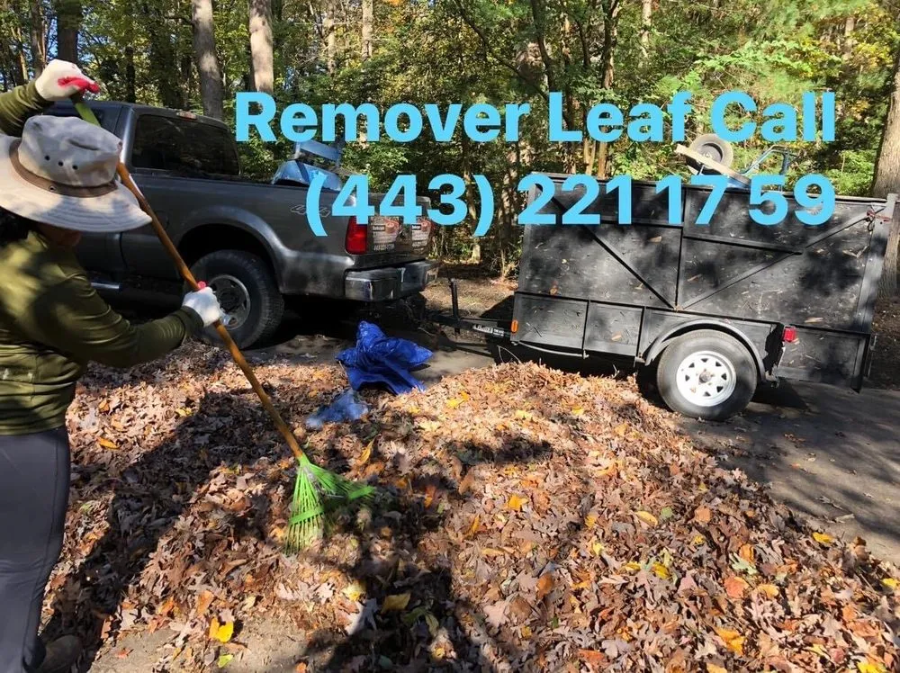 Professional yard maintenance in Annapolis, MD - Chacon Hardscapes