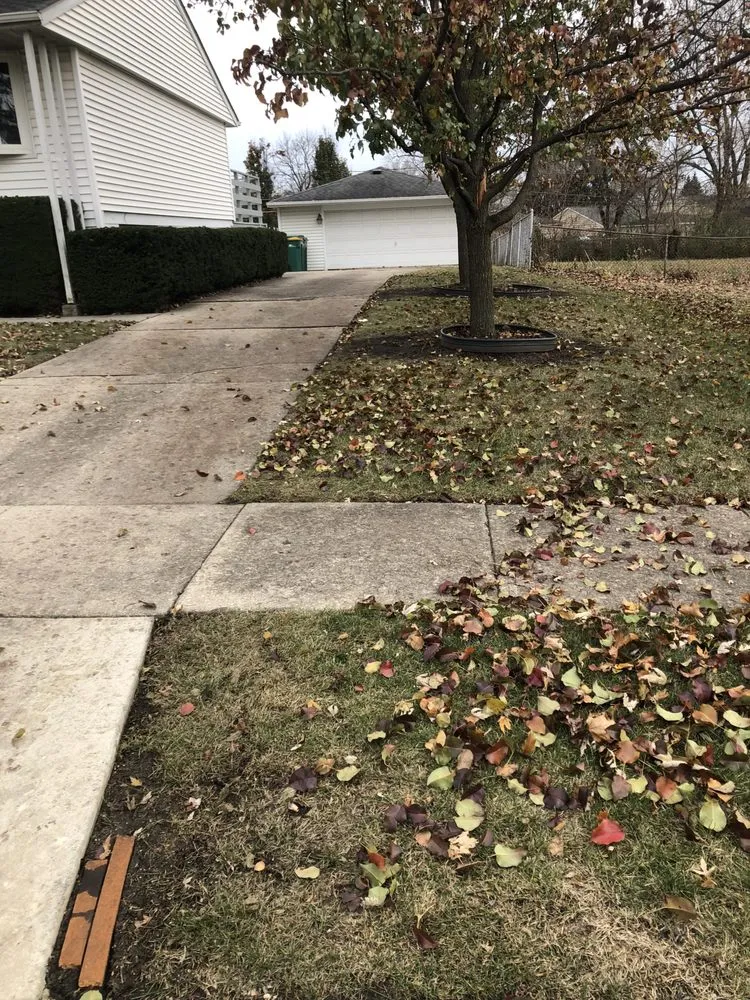 Custom landscape installation for year-round maintenance across Romeoville, IL - Chacon Landscaping