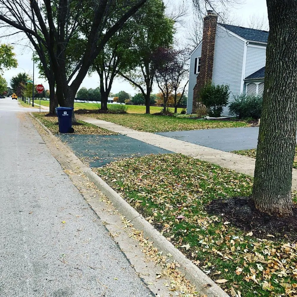 Custom outdoor landscaping in Romeoville, IL by Chacon Landscaping