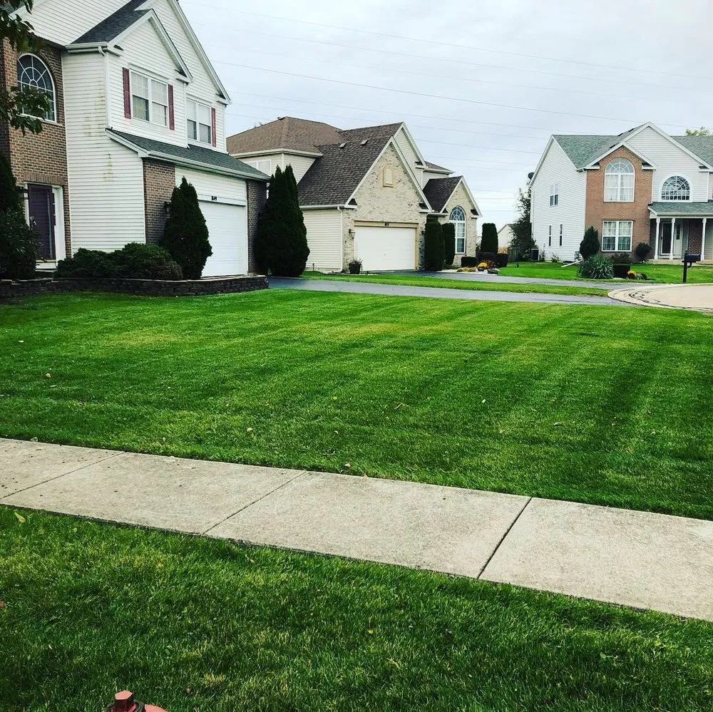 Trusted yard maintenance for outdoor upgrades in Romeoville, IL by Chacon Landscaping