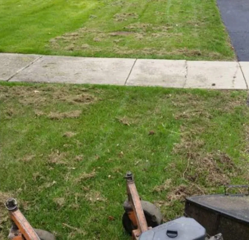 Local landscape design experts serving Romeoville, IL - Chacon Landscaping