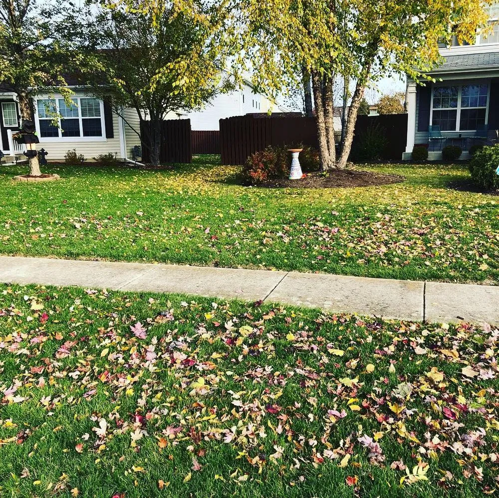 Reliable lawn care service with custom design in Romeoville, IL by Chacon Landscaping