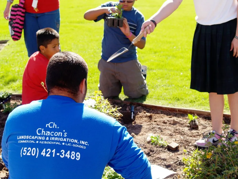 Affordable yard maintenance with custom design across Eloy, AZ - Chacon's Landscaping & Irrigation