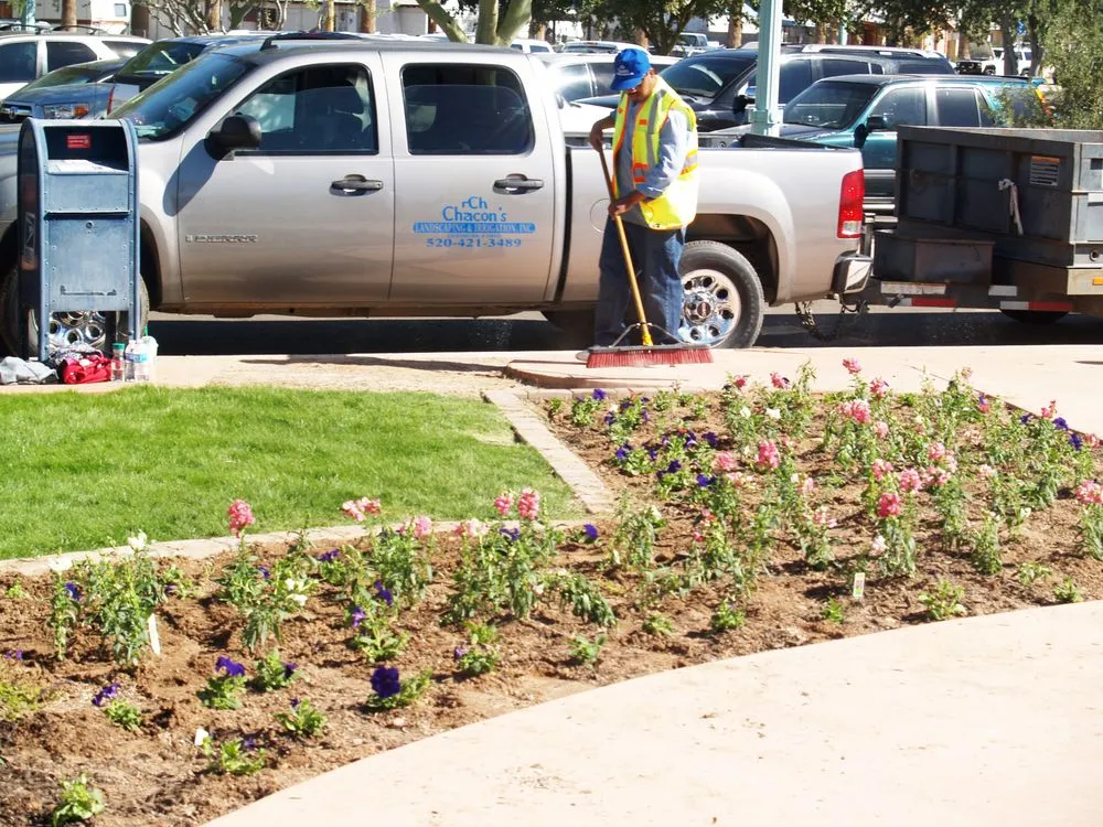 Expert outdoor landscaping near you in Eloy, AZ by Chacon's Landscaping & Irrigation