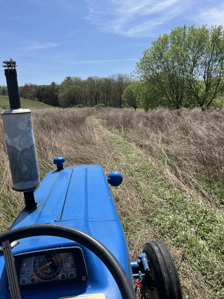 Professional yard maintenance in Kerhonkson, NY by Chad Cooper Brush Hogging