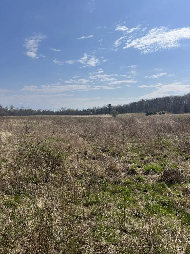 Affordable outdoor landscaping in Kerhonkson, NY by Chad Cooper Brush Hogging