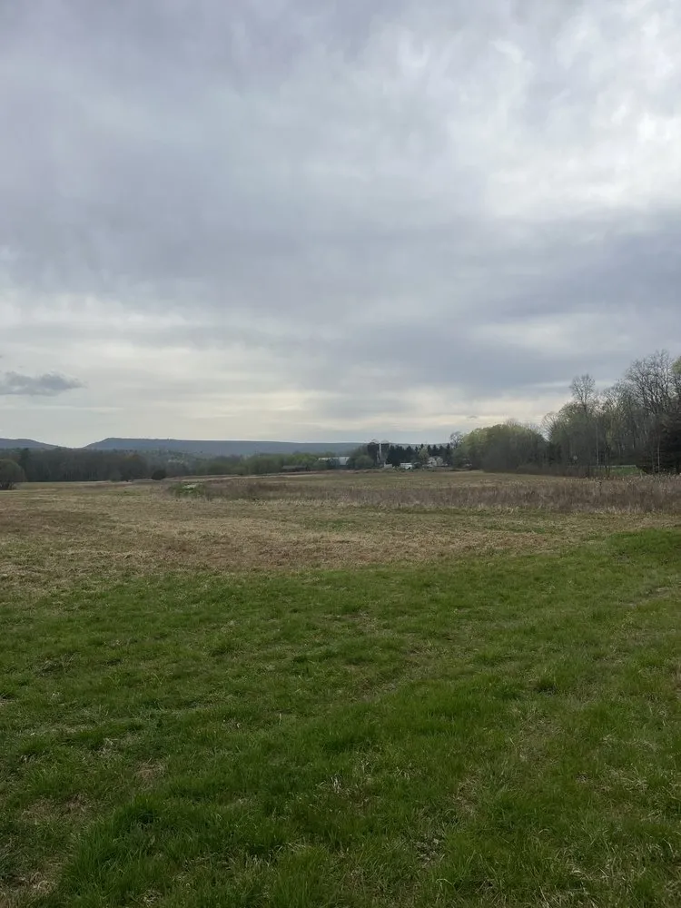 Custom lawn care service in Kerhonkson, NY - Chad Cooper Brush Hogging