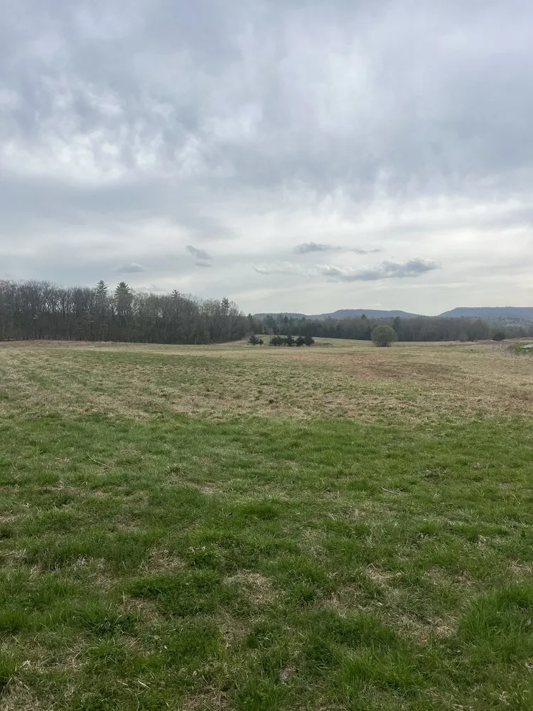 Affordable residential landscaping in Kerhonkson, NY by Chad Cooper Brush Hogging