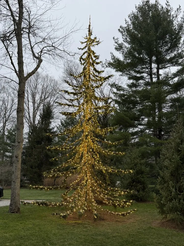 Local landscape design for beautiful yards across Bridgeport, CT - Chad Landscapes