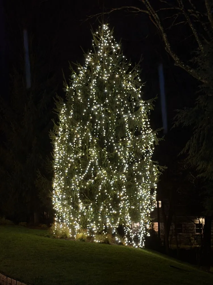 Affordable outdoor landscaping in Bridgeport, CT - Chad Landscapes