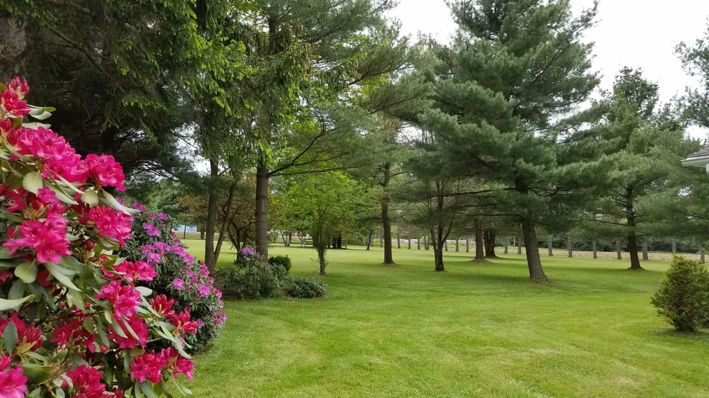 Reliable yard cleanup service in Oil City, PA by Chad Shirey