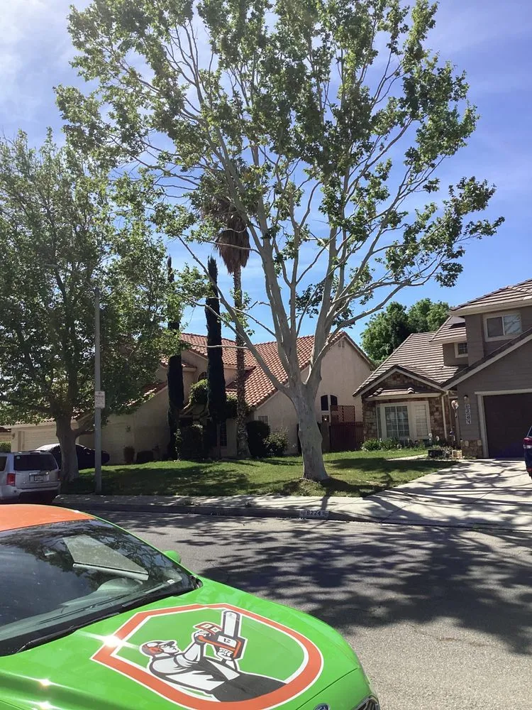 Affordable landscaping services near you in Lancaster, CA by Chads Chippers