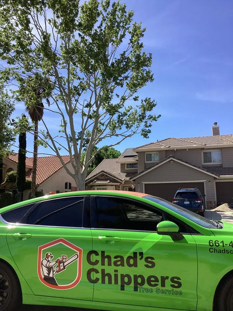 Expert outdoor landscaping for outdoor upgrades across Lancaster, CA - Chads Chippers