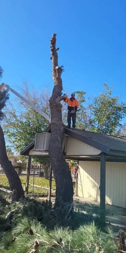 Local garden landscaping in Lancaster, CA - Chads Chippers