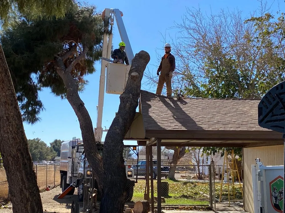 Trusted landscape design for outdoor upgrades in Lancaster, CA by Chads Chippers