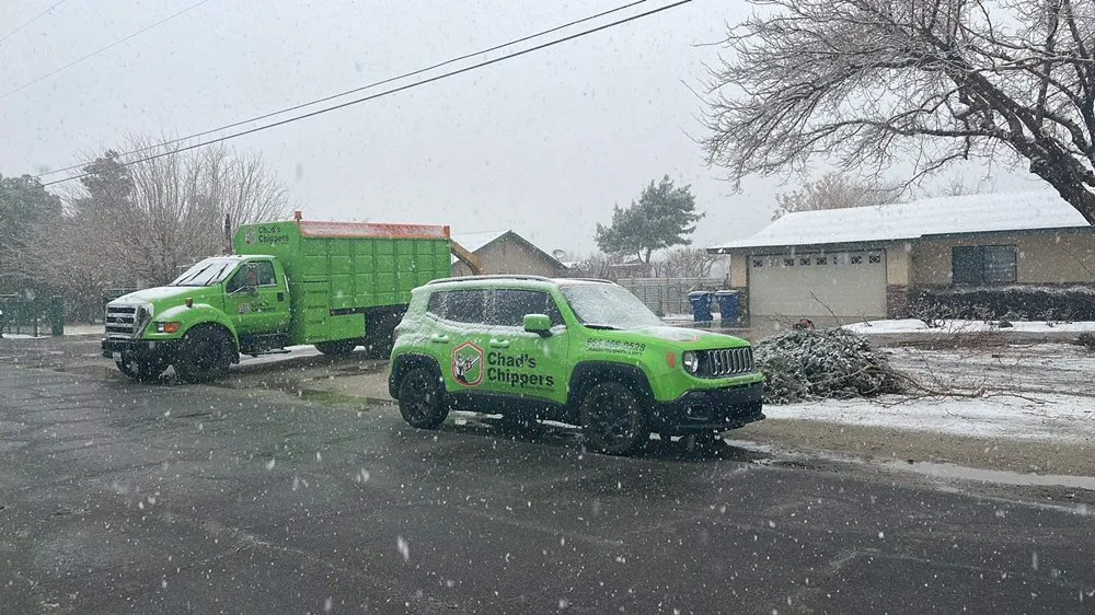 Reliable landscape installation in Lancaster, CA by Chads Chippers