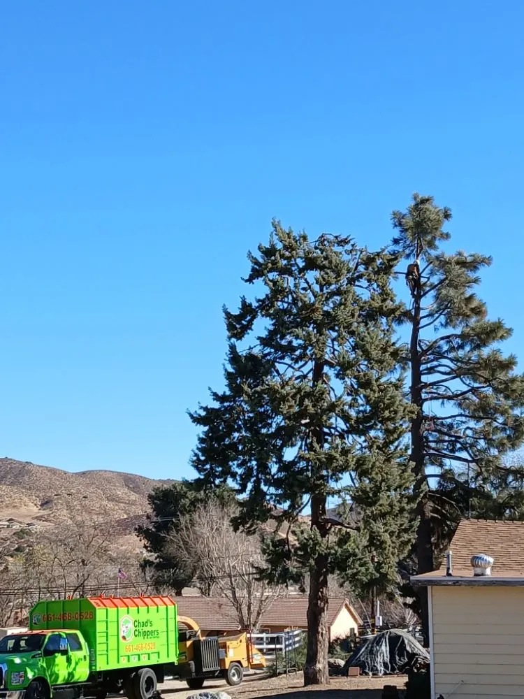 Affordable landscape design for residential properties across Lancaster, CA - Chads Chippers