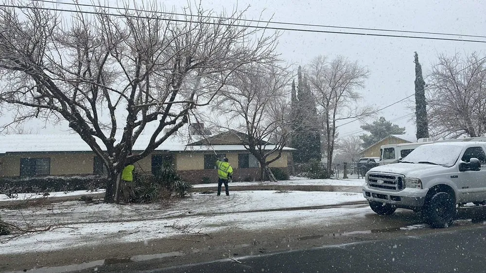 Professional landscaping services in Lancaster, CA - Chads Chippers