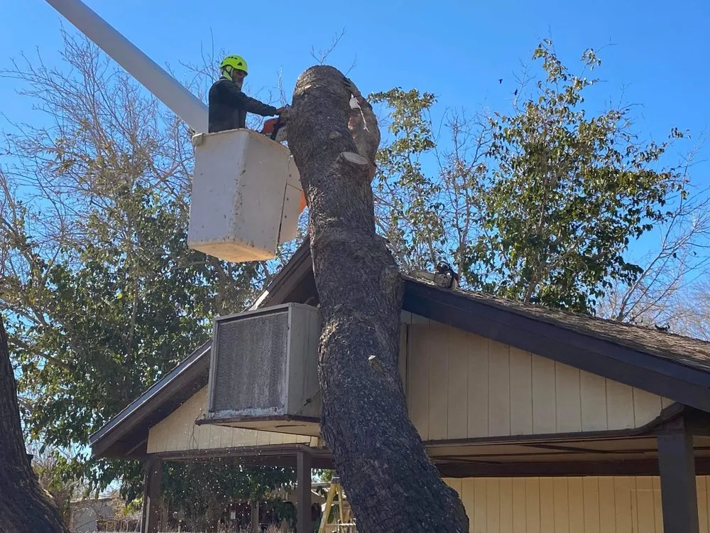 Top-rated residential landscaping for homes in Lancaster, CA by Chads Chippers