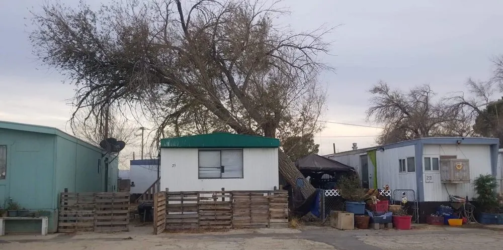 Top-rated outdoor landscaping in Lancaster, CA - Chads Chippers